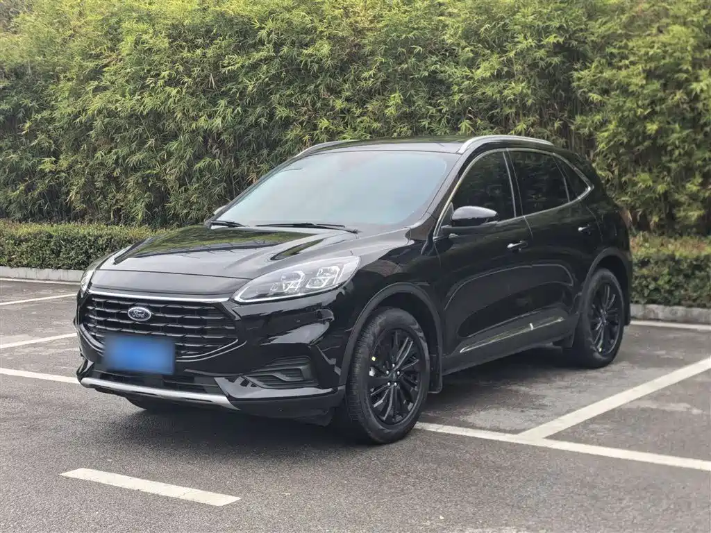 ford ruiji