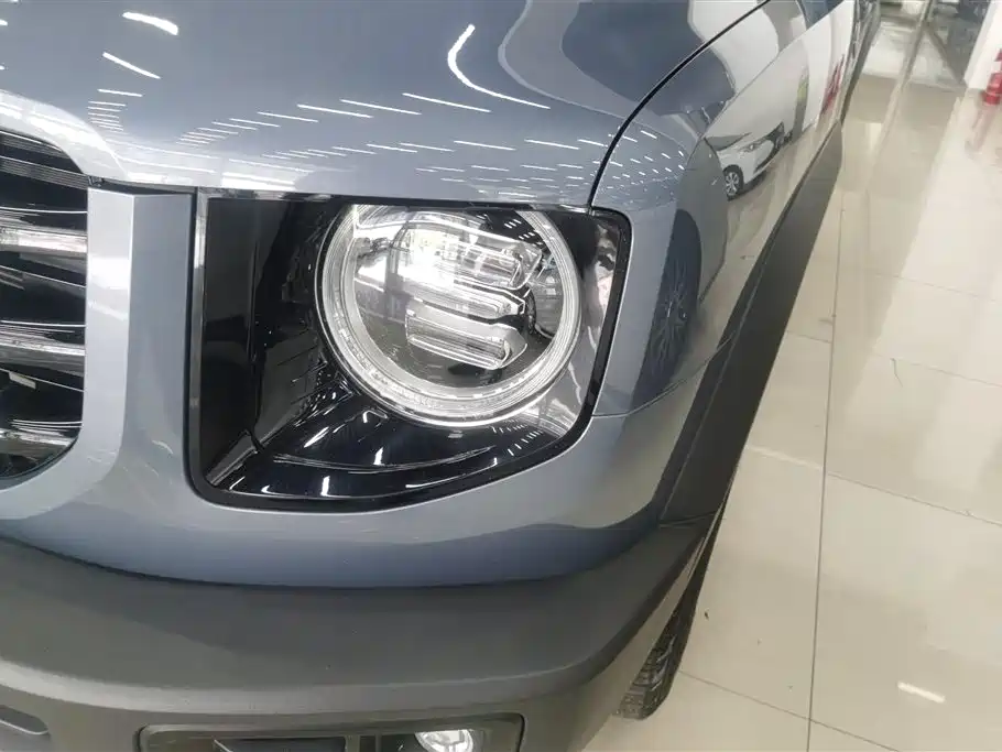 Haval Big Dog 2021 1.5T DCT 2WD Labrador Edition фото 5