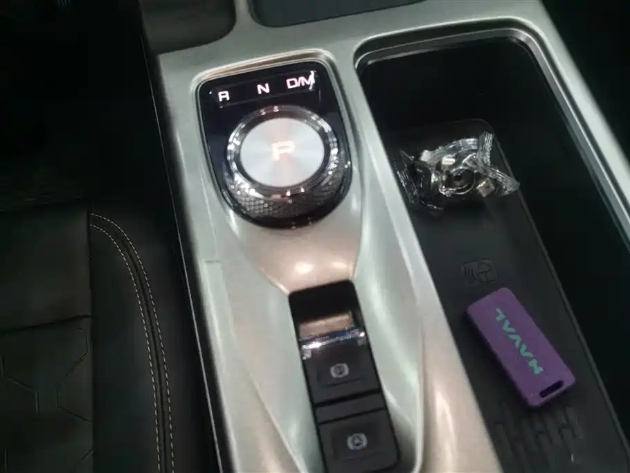 Haval Big Dog 2021 1.5T DCT 2WD Labrador Edition фото 16