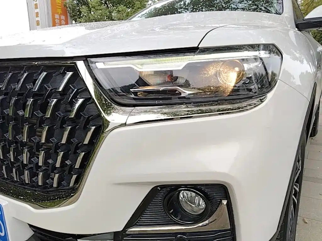 Фото 24 - Haval H6