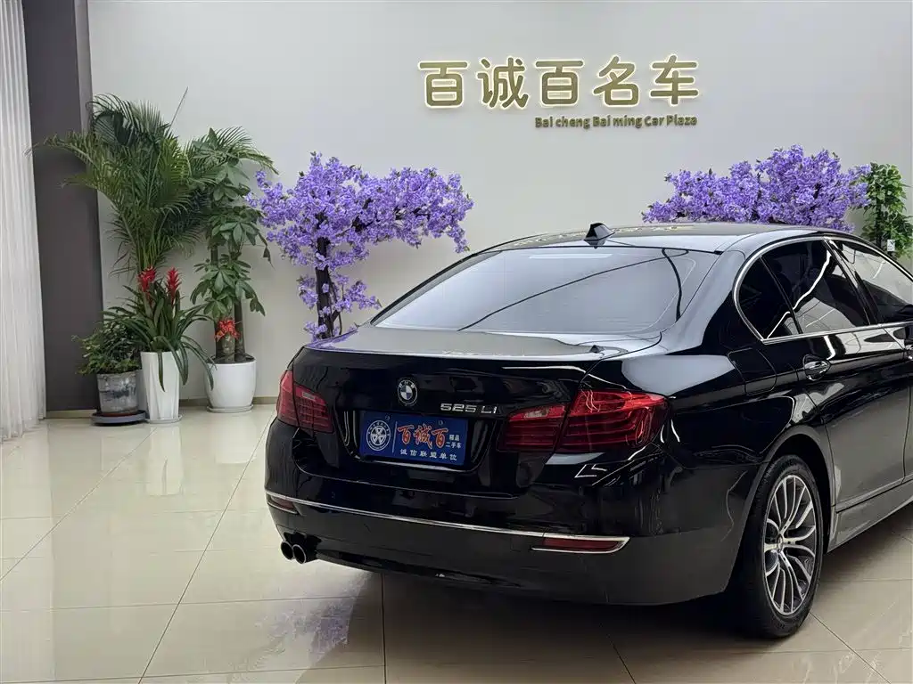 BMW 5 Series 2014 525Li Luxury Design Package фото 7