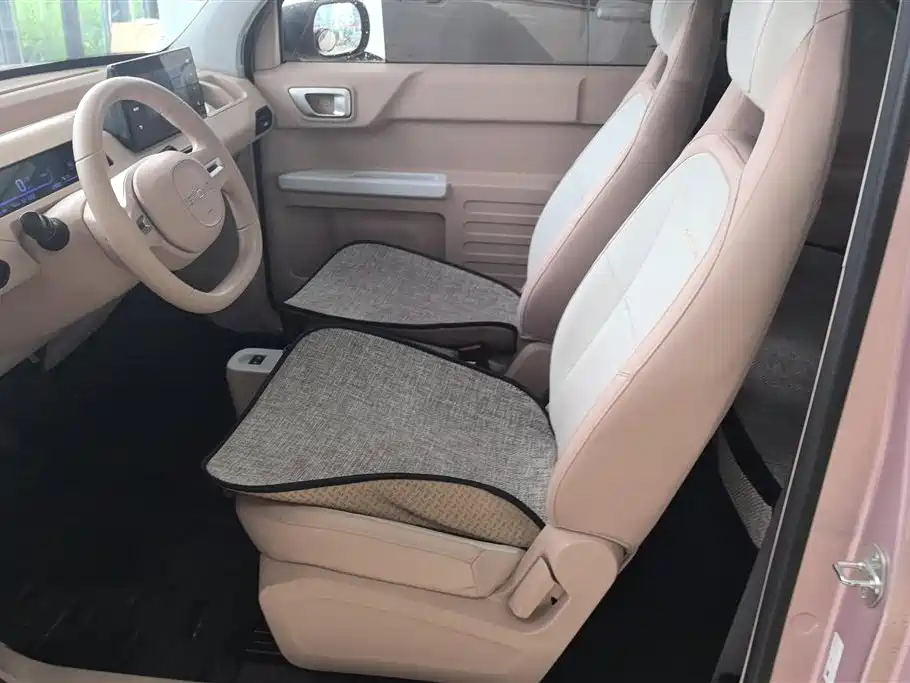 Geely Galaxy Panda 2024 Panda mini 200km Endurance Bear фото 9