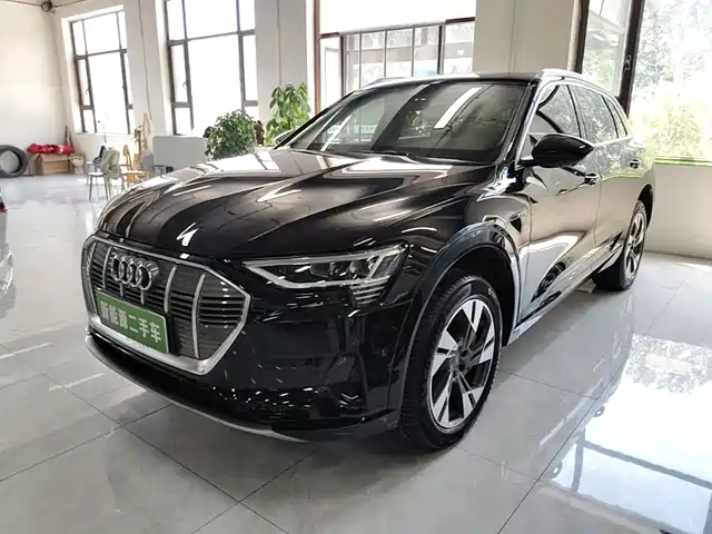  Audi Audi e-tron (Import) 2019 55 quattro Technology