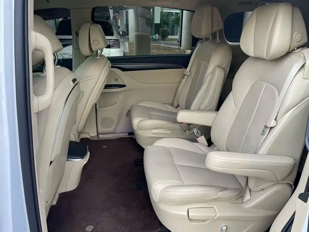 Buick GL8 2022 ES Landmark 653T Premium фото 5