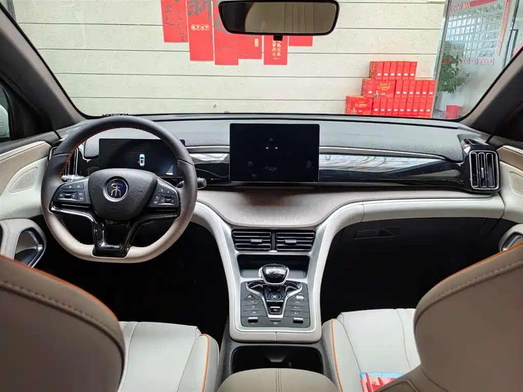 BYD Song Pro New Energy 2024 Glory Edition DM-i 71KM Pilot фото 9