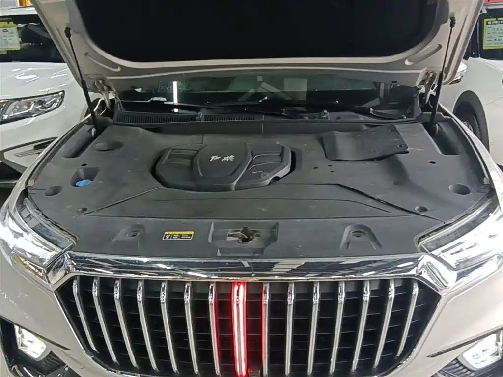 Hongqi HS5 2019 2.0T Smart Connect Enjoy 4WD Edition фото 20