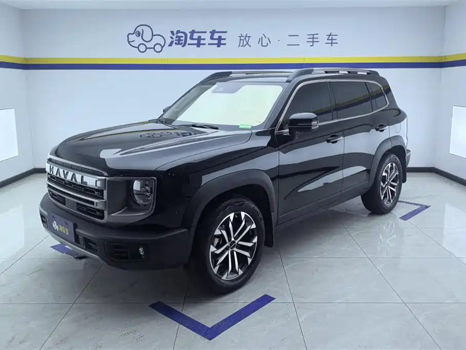 Haval Big Dog 2024 1.5T DCT Border Collie Edition