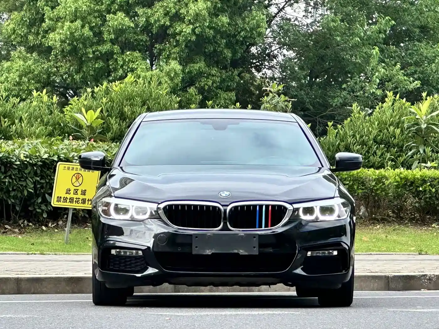 BMW 5 Series 2018 530Li Leading M Sport Package фото 4