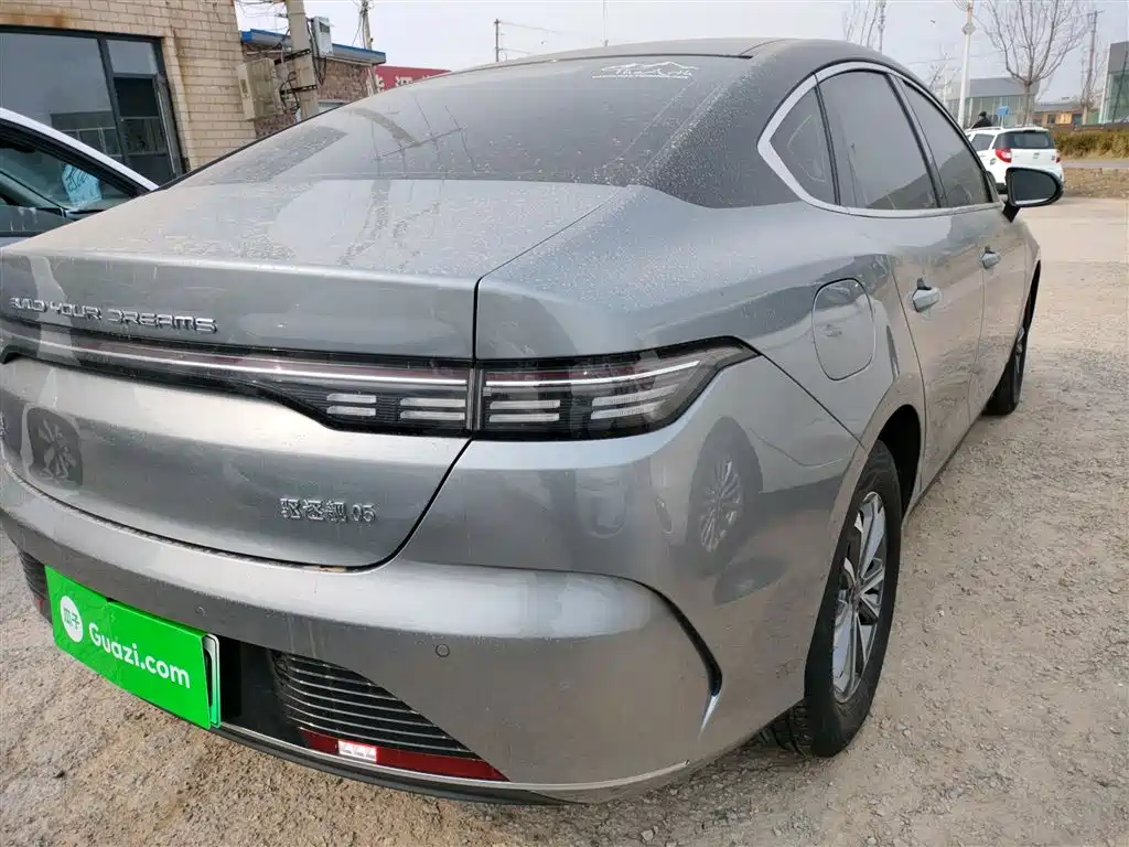 BYD Destroyer 05 2023 Champion Edition DM-i 55KM Luxury фото 8