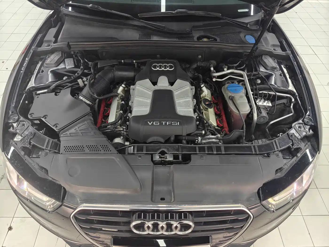 Audi A5 (Import) 2012 3.0TFSI Coupe quattro фото 12