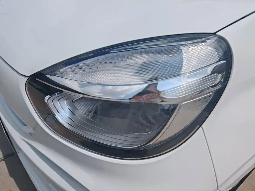 Roewe Kaiwei CLEVER 2023 2022 311km Vitality Bobo Edition