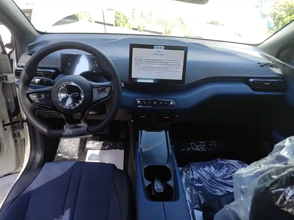 BYD Seagull 2025 Smart Drive Edition 305km Vitality Version фото 10