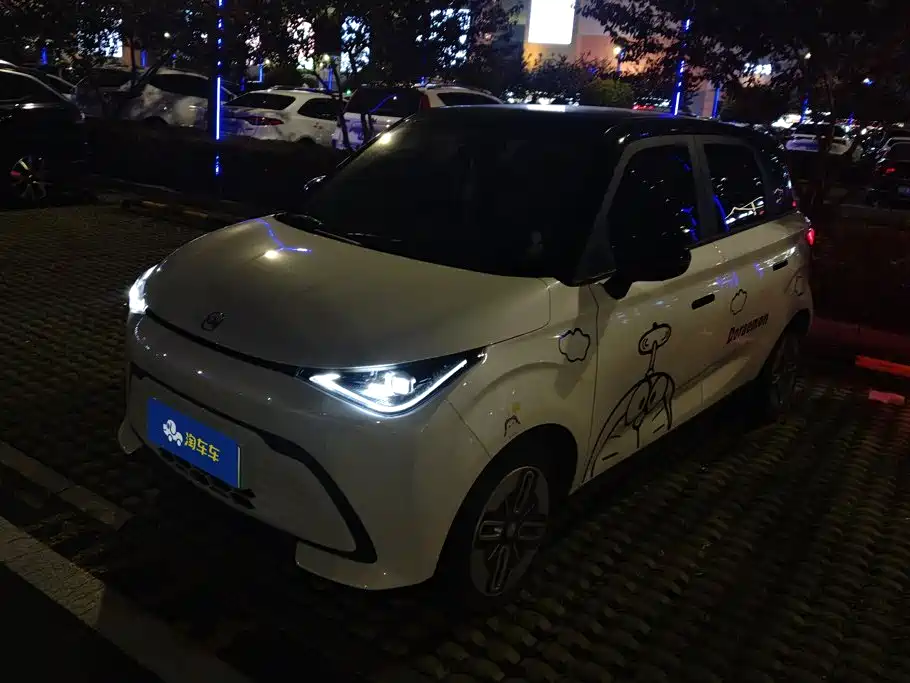 QQ New Energy Duomi 2025 2025 305km Comfort Edition