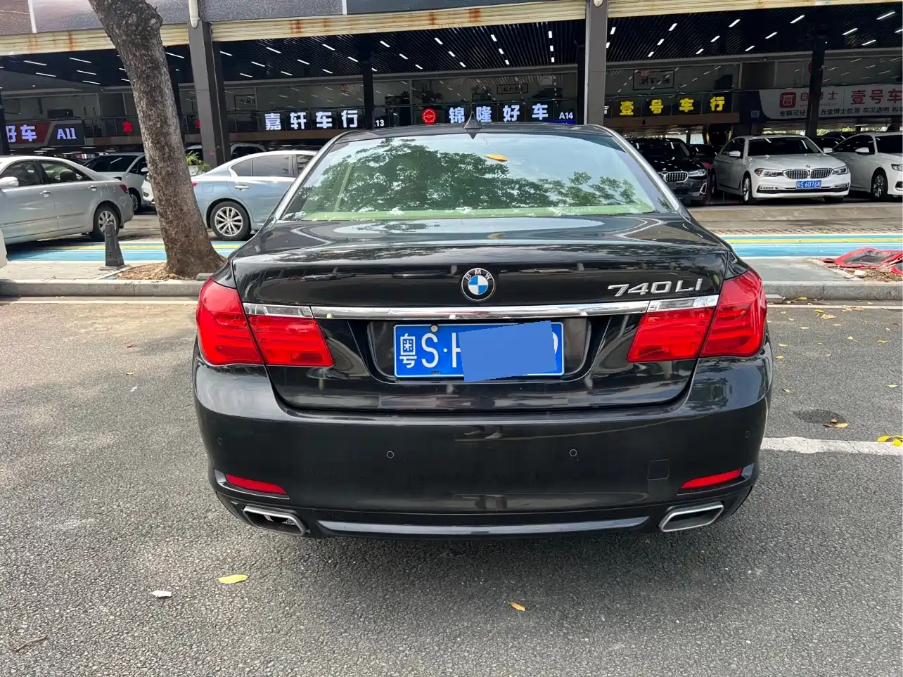 BMW 7 Series 2009 730Li Leading фото 7