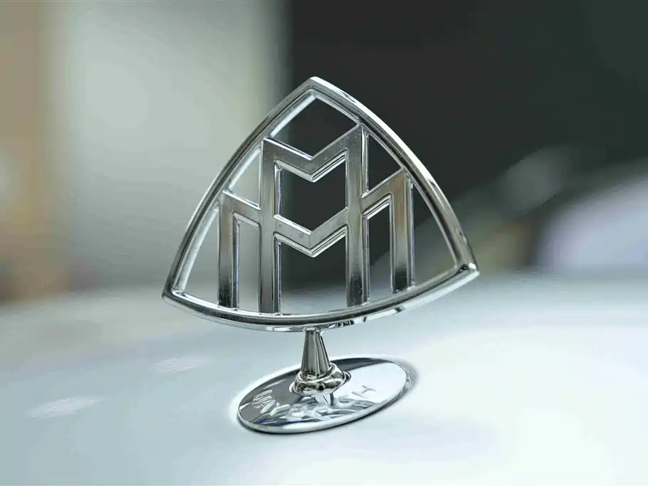 Mercedes-Benz Maybach GLS 2021 GLS 480 4MATIC фото 24