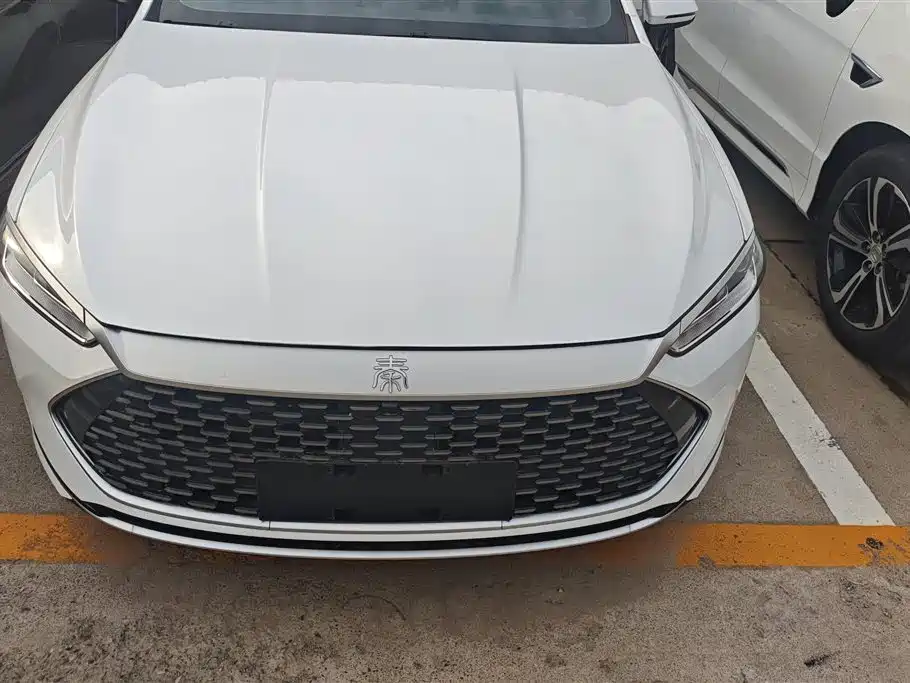 BYD Qin PLUS 2024 Glory Edition DM-i 55KM Leading фото 2