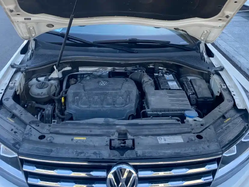 Volkswagen Tiguan L 2019 330TSI Automatic 2WD Panorama Comfort Edition China VI фото 13
