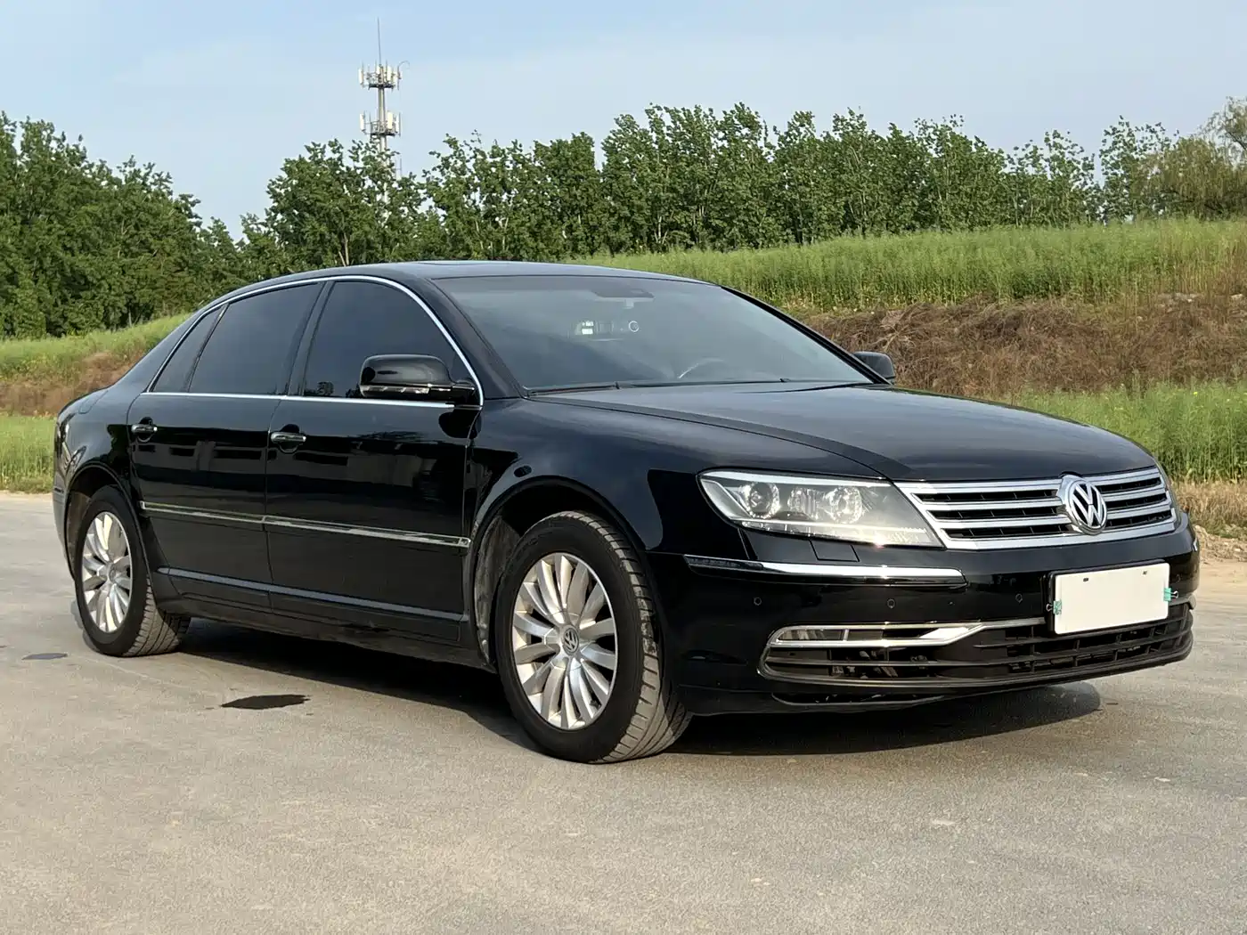 Volkswagen Phaeton 2012 3.0L Business фото 3