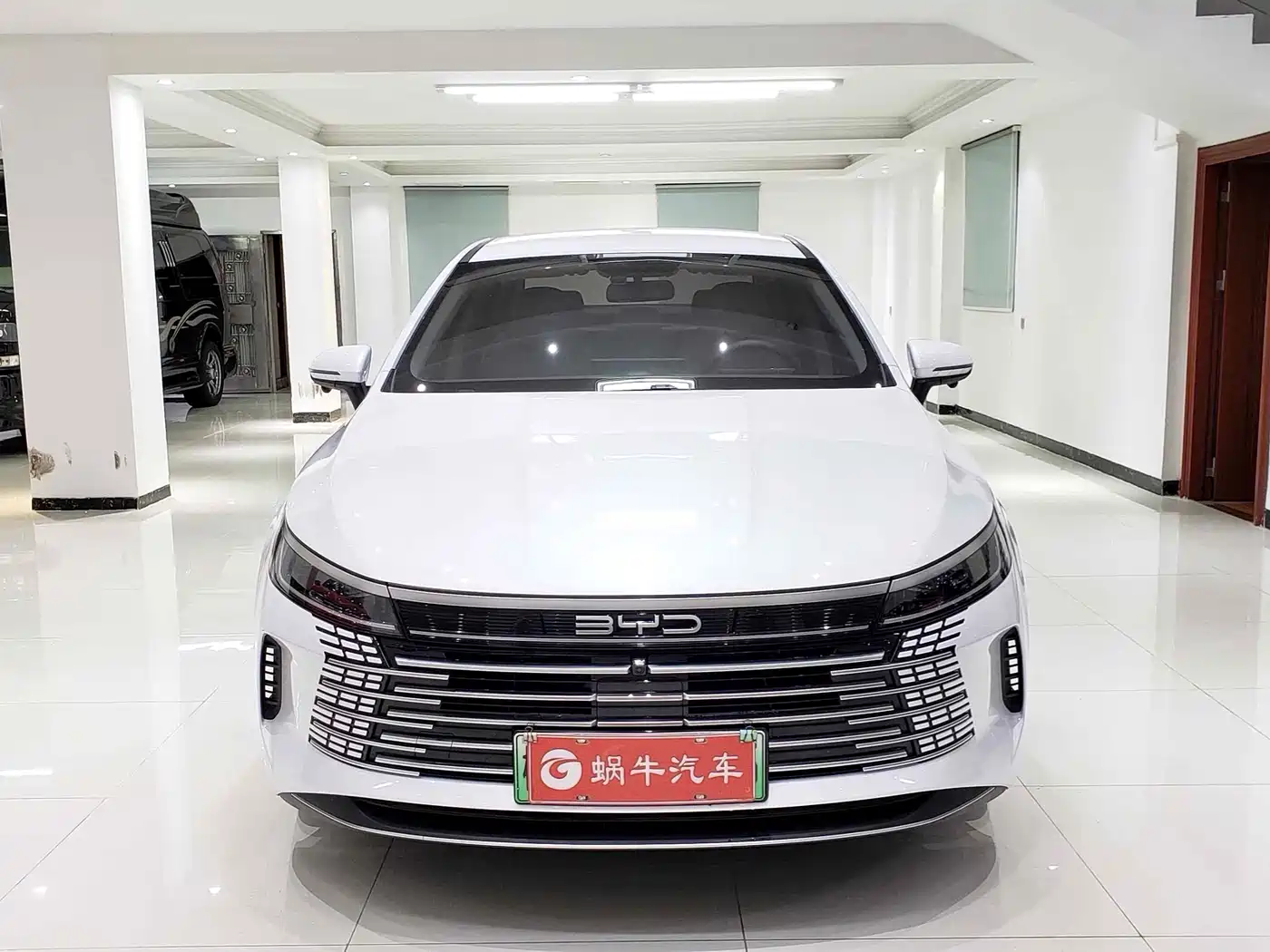 BYD Destroyer 05 2023 Champion Edition DM-i 120KM Premium фото 2