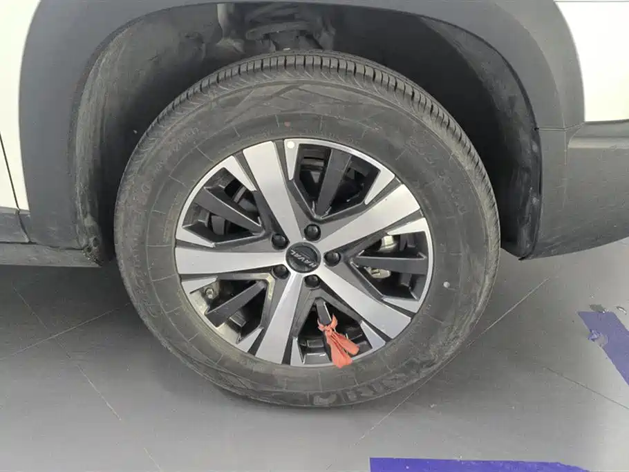 Haval Big Dog 2021 1.5T DCT 2WD Labrador Edition фото 6