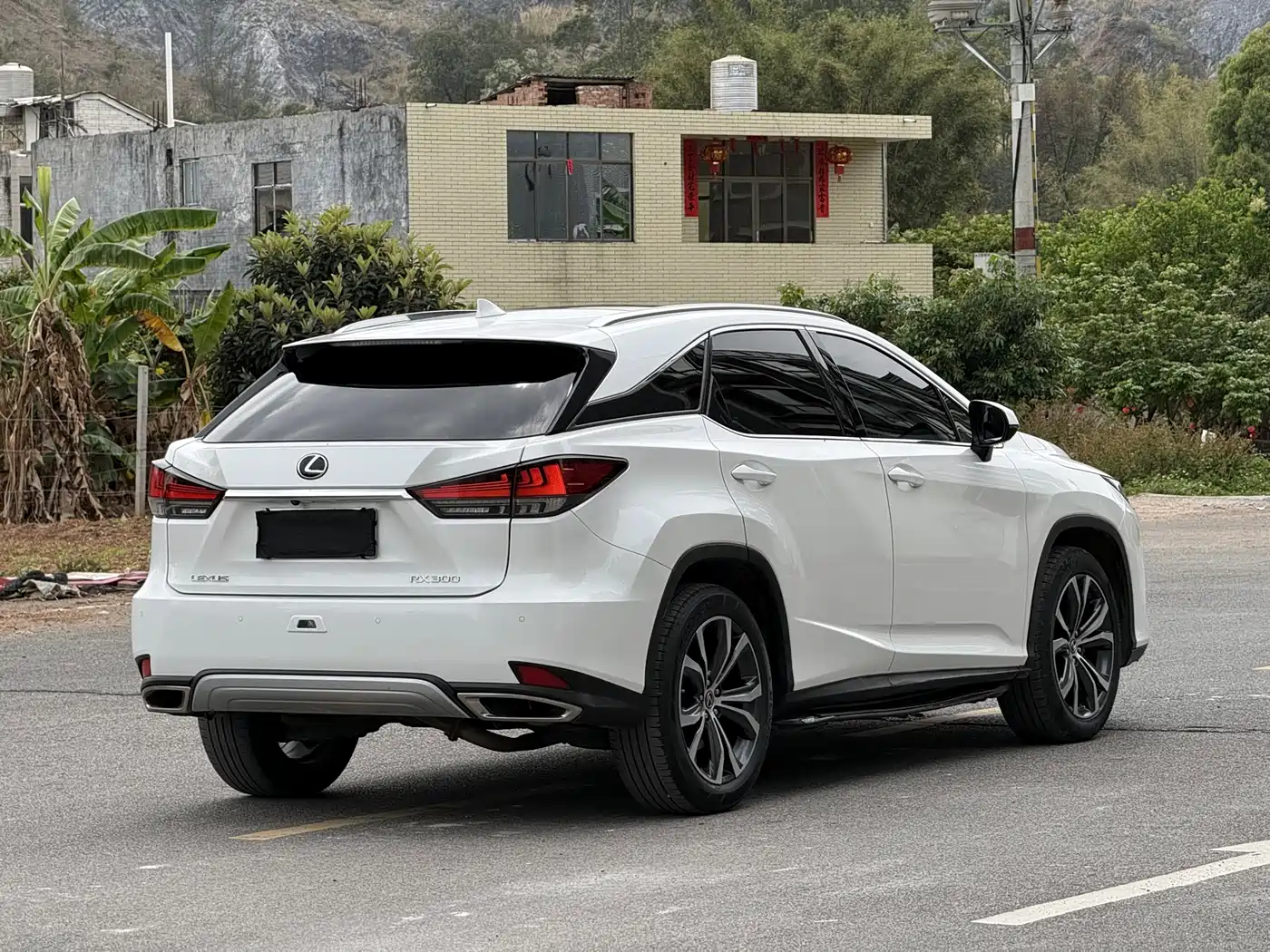 Lexus RX 2020 300 4WD Luxury Edition China VI фото 22