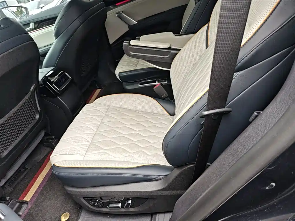 BYD Tang New Energy 2022 EV 730KM Premium фото 17