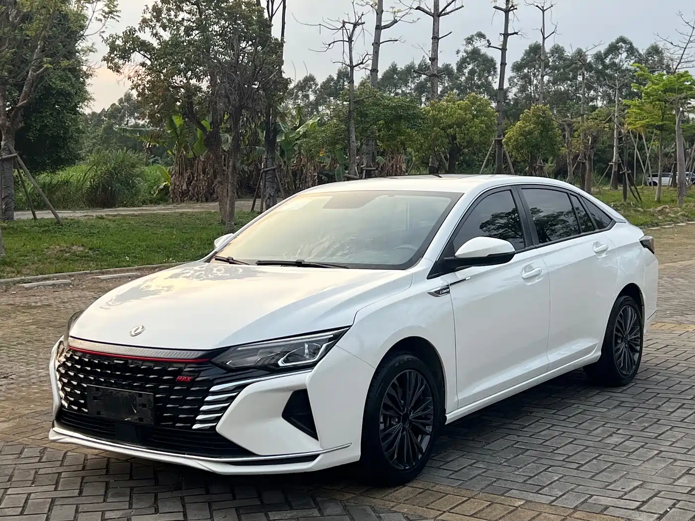 DONGFENG YI HYUN MAX