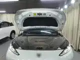 Фото 20 - ARCFOX Alpha S