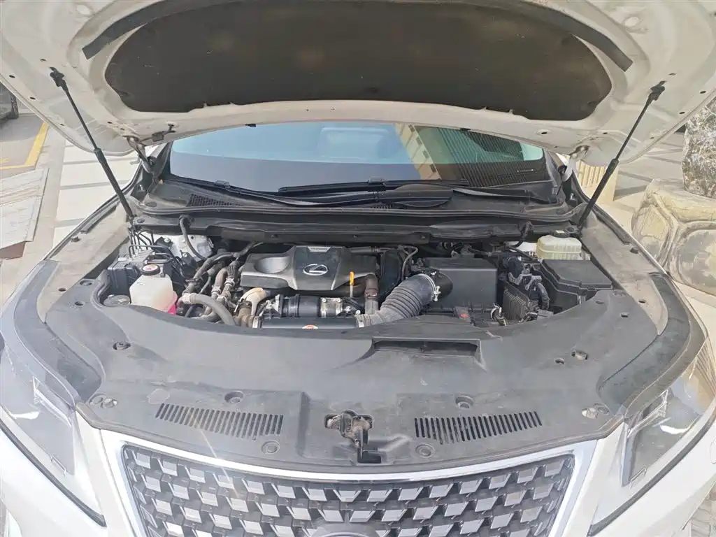 Lexus RX 2020 Facelift 300 2WD Elite Edition фото 20