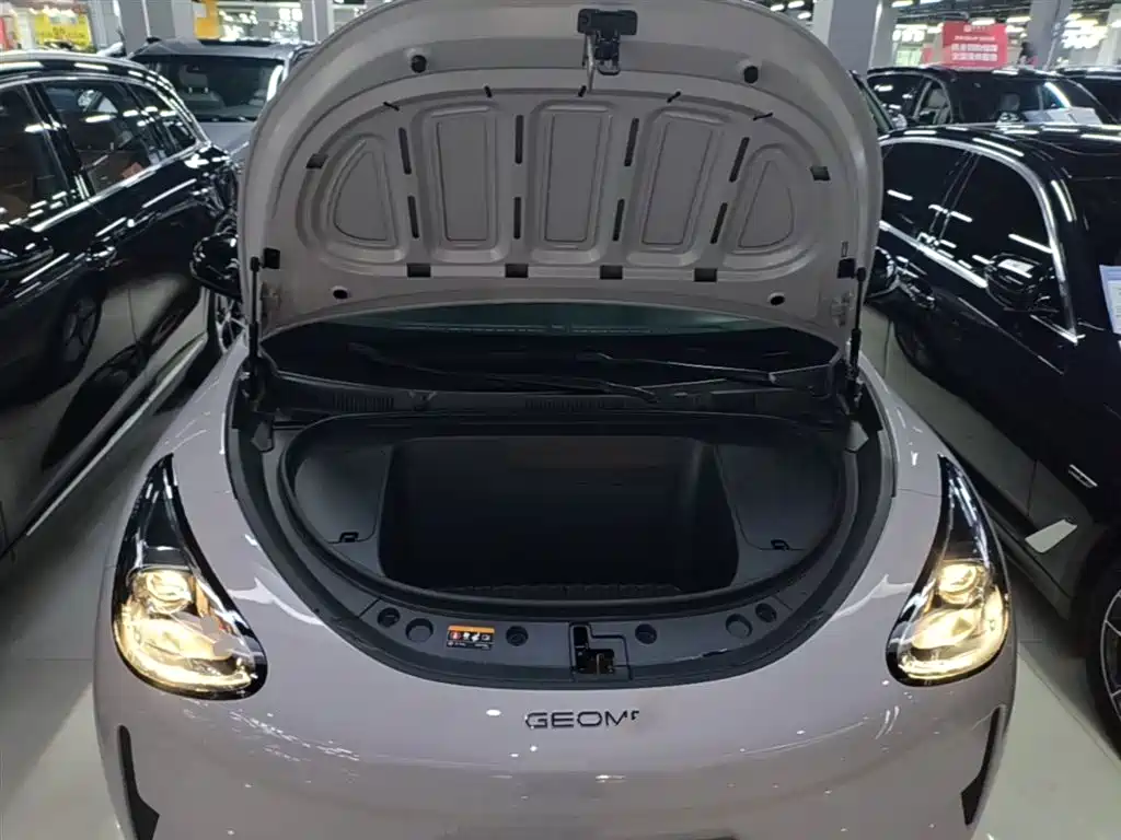 Geely Galaxy Starry Wish 2026 Edition 310km Youth Version фото 20