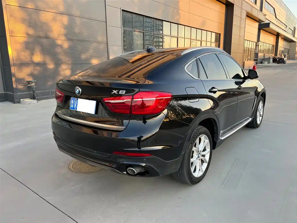 BMW X6 2018 xDrive28i фото 4