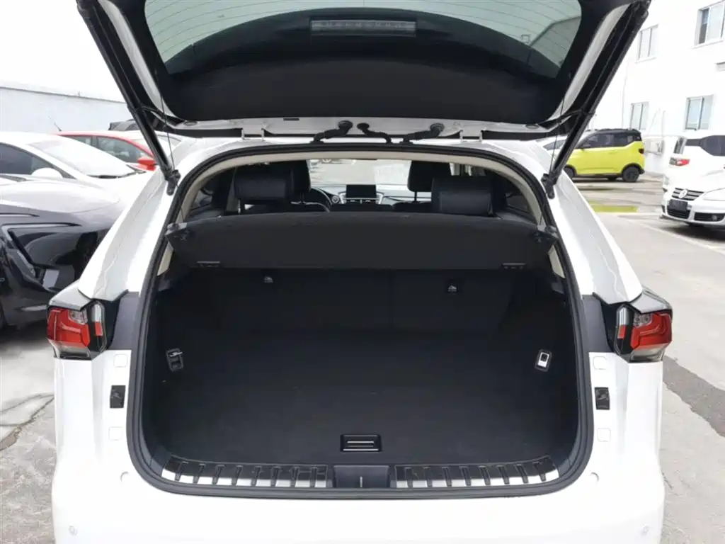 Lexus NX 2015 200 AWD Luxury фото 19