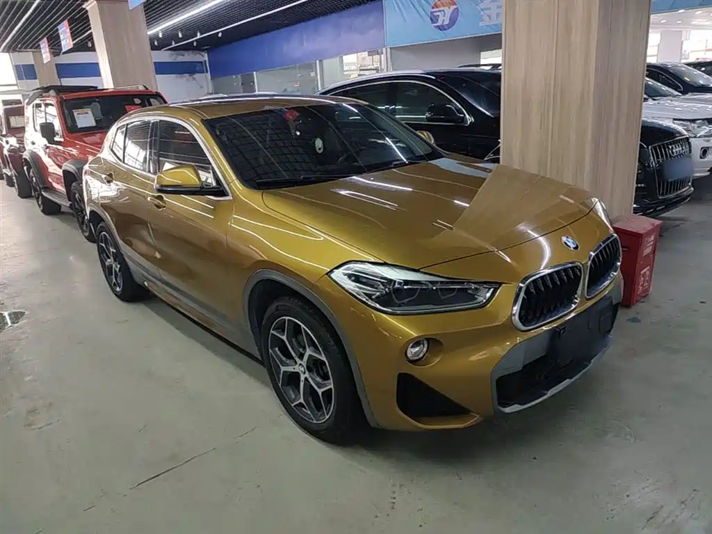 BMW X2 (Import) 2019 sDrive20i M Off-Road Package China VI фото 4