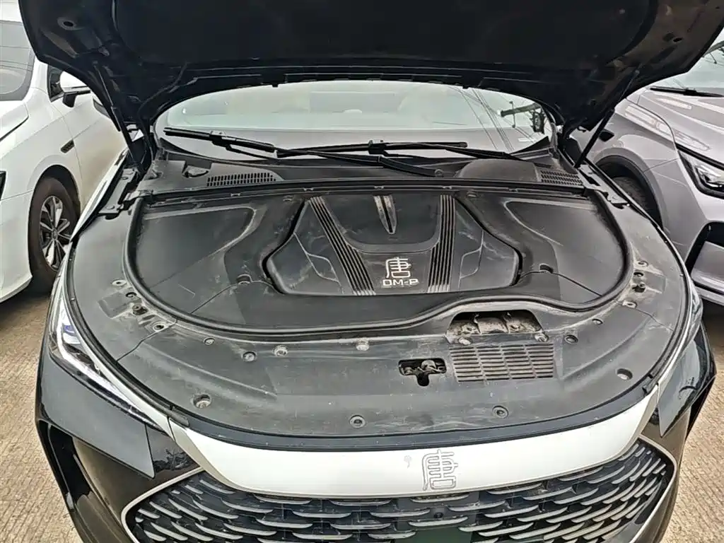 BYD Tang New Energy 2022 DM-p 215KM AWD Executive фото 20