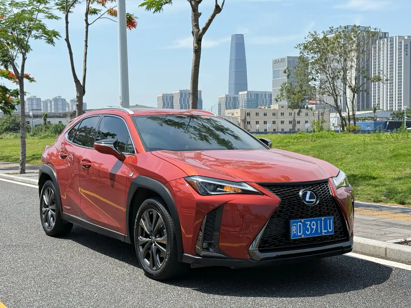 Lexus UX 2019 260h F SPORT Edition (China V) фото 3