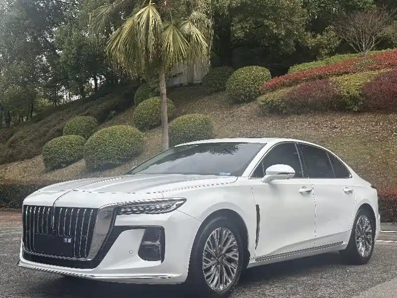 Hongqi H5 2023 2.0T Auto Smart Connect Flag Comfort