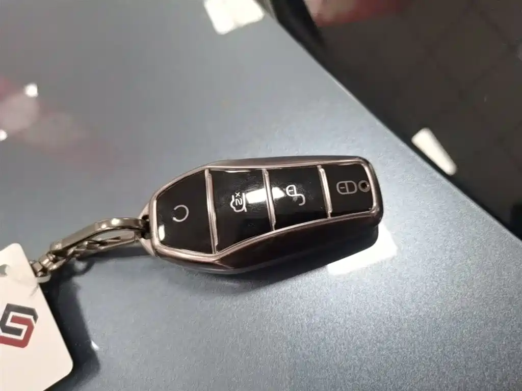 BYD Song Pro New Energy 2025 2nd Gen DM-i 75KM Leading Type фото 9