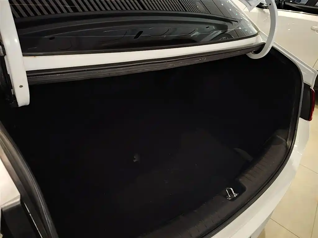 Hyundai Elantra 2018 1.6L Automatic Pleasing Edition GL China VI фото 19