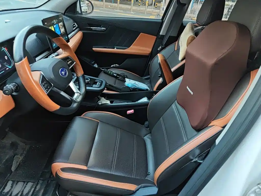 BYD e2 2021 2021 Luxury Edition