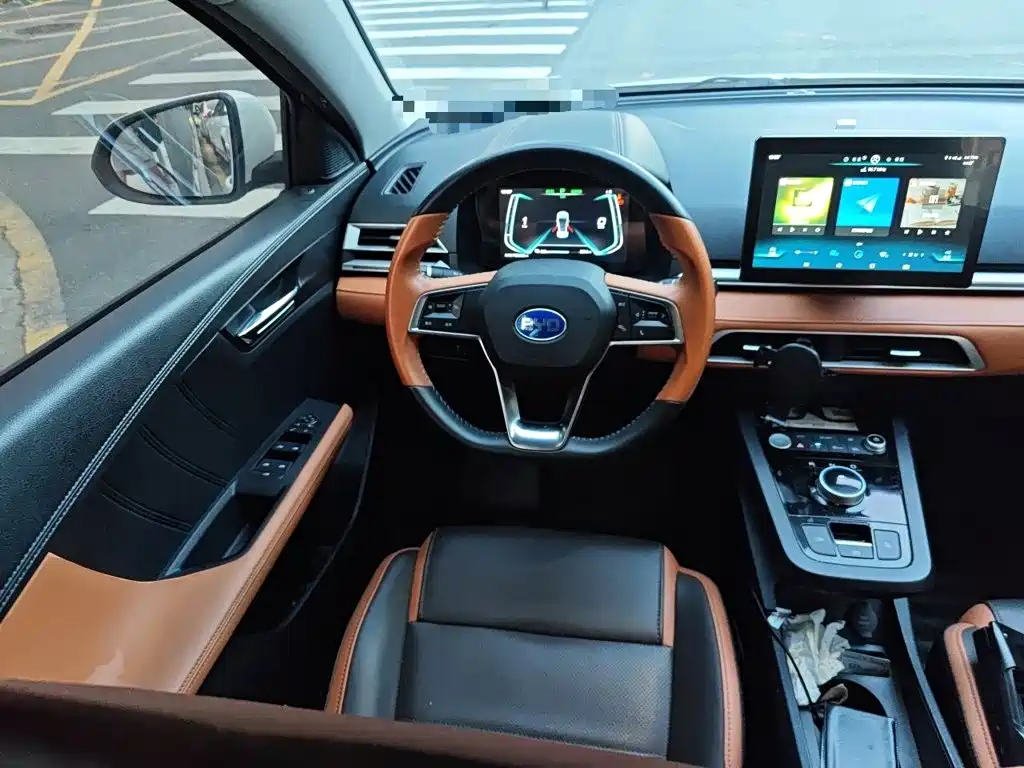 BYD e2 2021 2021 Luxury Edition