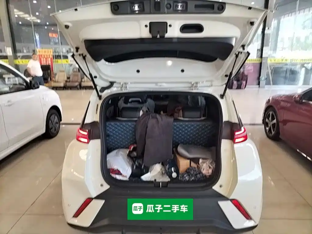 BYD Seagull 2023 Flying Edition фото 19