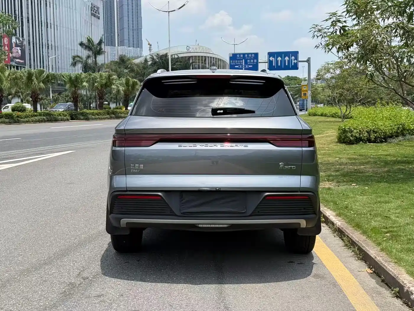 BYD Song Pro New Energy 2024 Glory Edition DM-i 71KM Pilot фото 4