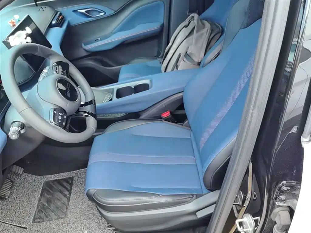 BYD Seagull 2024 Glory Edition 305km Vitality Edition фото 15