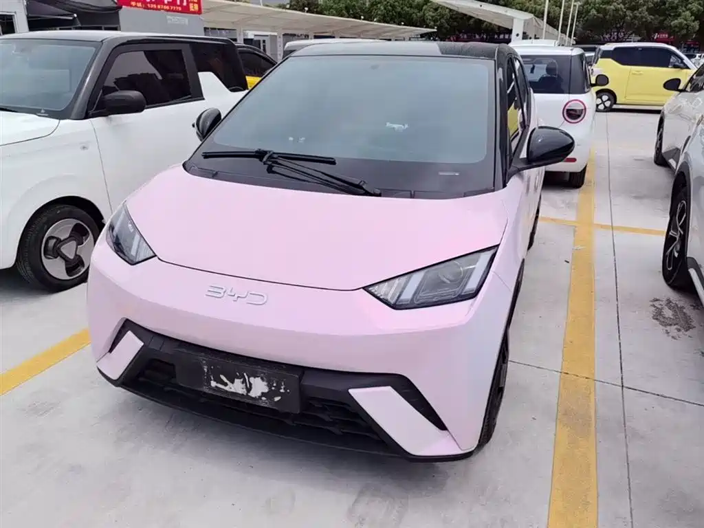 BYD Seagull 2024 Glory Edition 305km Vitality Edition фото 2