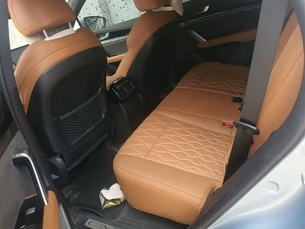 BYD Tang New Energy 2023 Model DM-i Champion Edition 112KM Honor фото 17