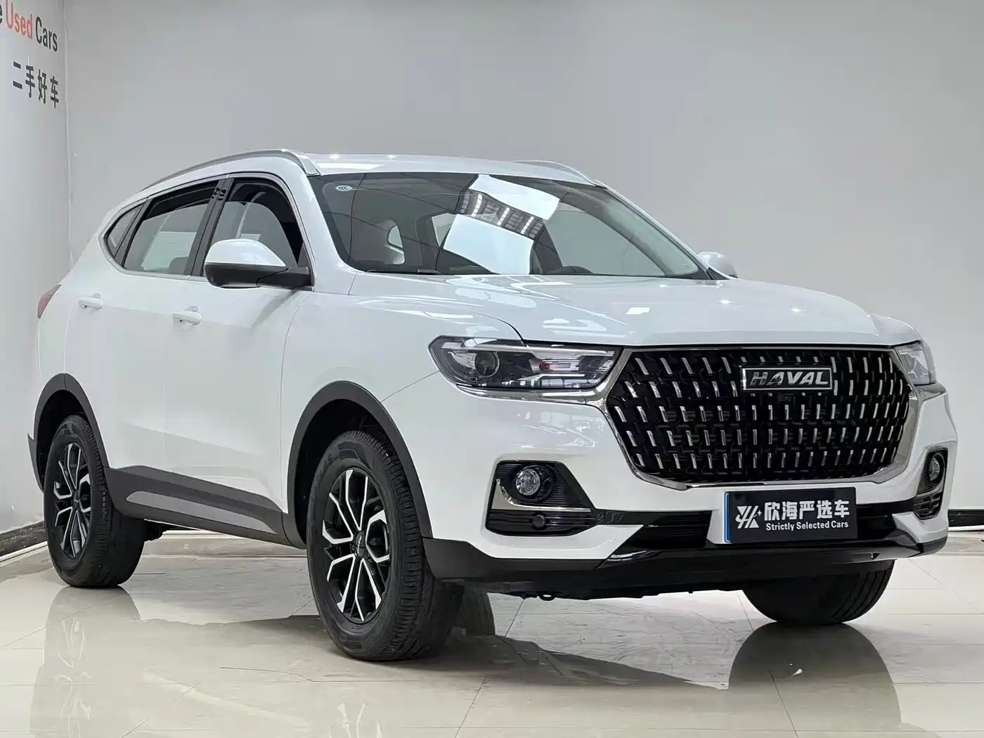 Haval H6 2023 National Trend Edition 1.5T Automatic Urban фото 3
