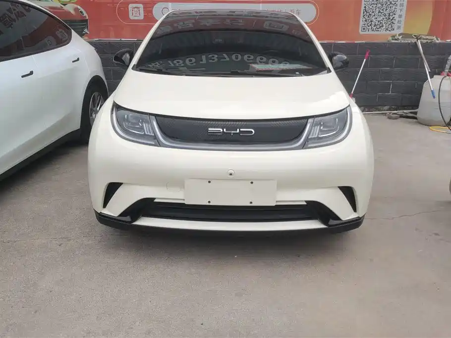 BYD Dolphin 2023 420km Fashion Edition фото 2