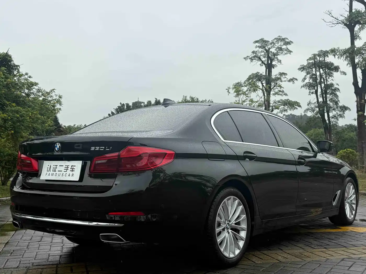 BMW 5 Series 2020 530Li Premium Luxury Package фото 28