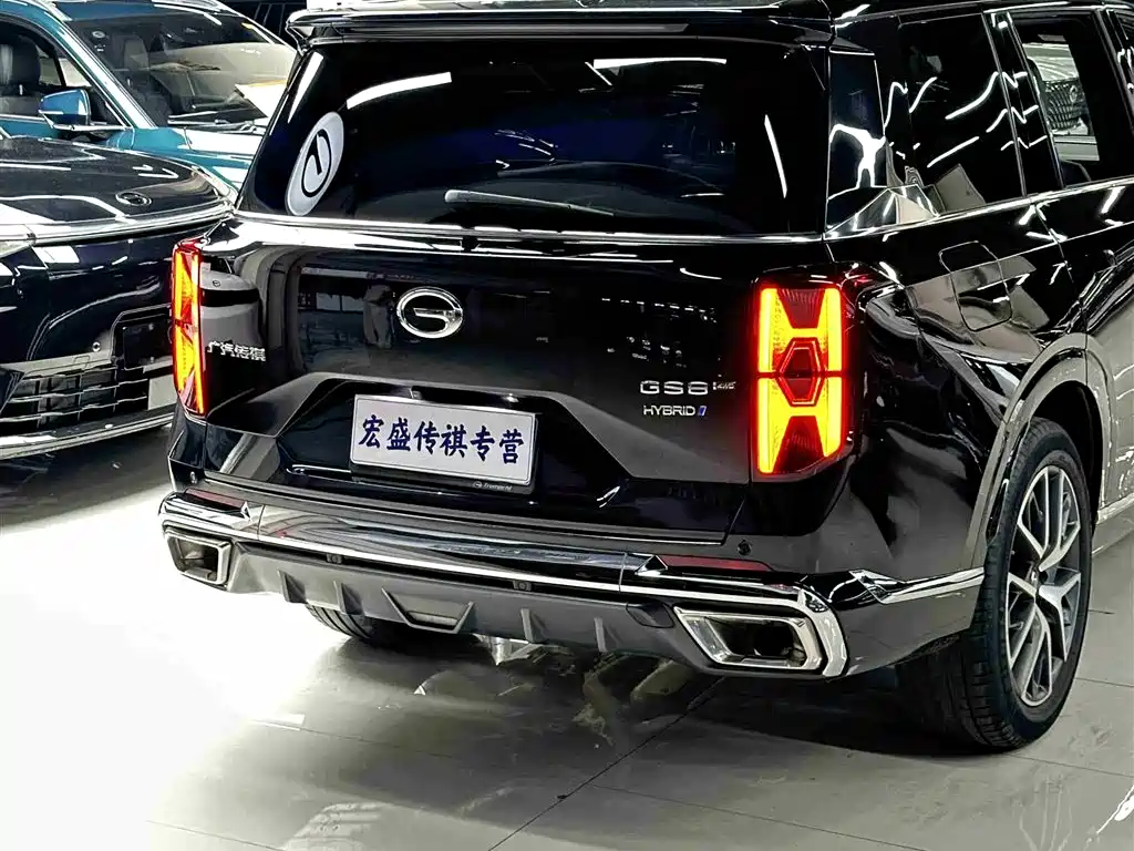 GAC Trumpchi Trumpchi GS8 2022 Hybrid Series 2.0TM 4WD Premium Edition (7-Seater) фото 38
