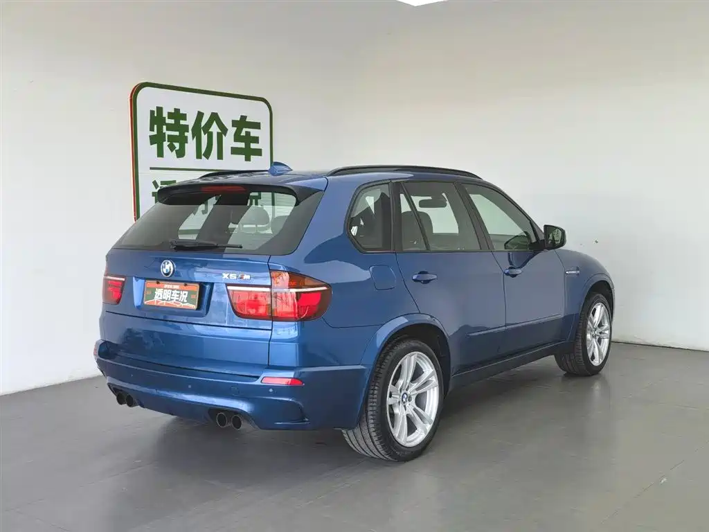 BMW X5 M 2010 X5 M фото 2